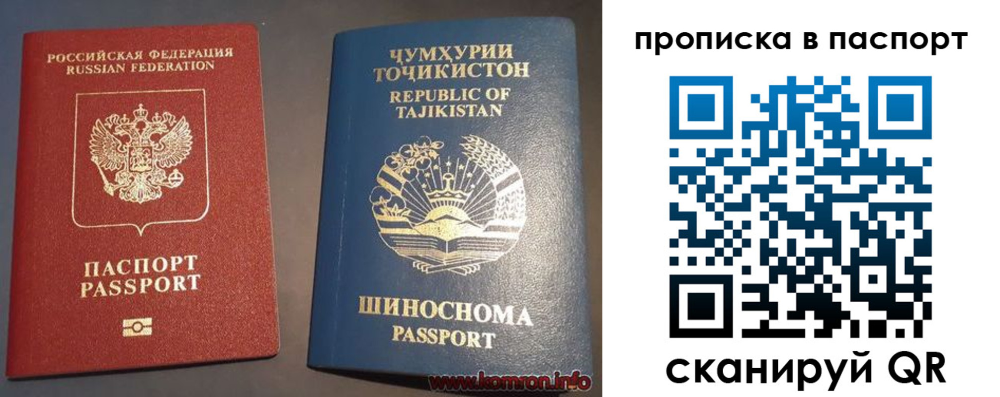прописка паспорт в Полярных Зорях